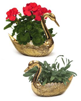 BR2831 - Brass Swan Pair, Planters